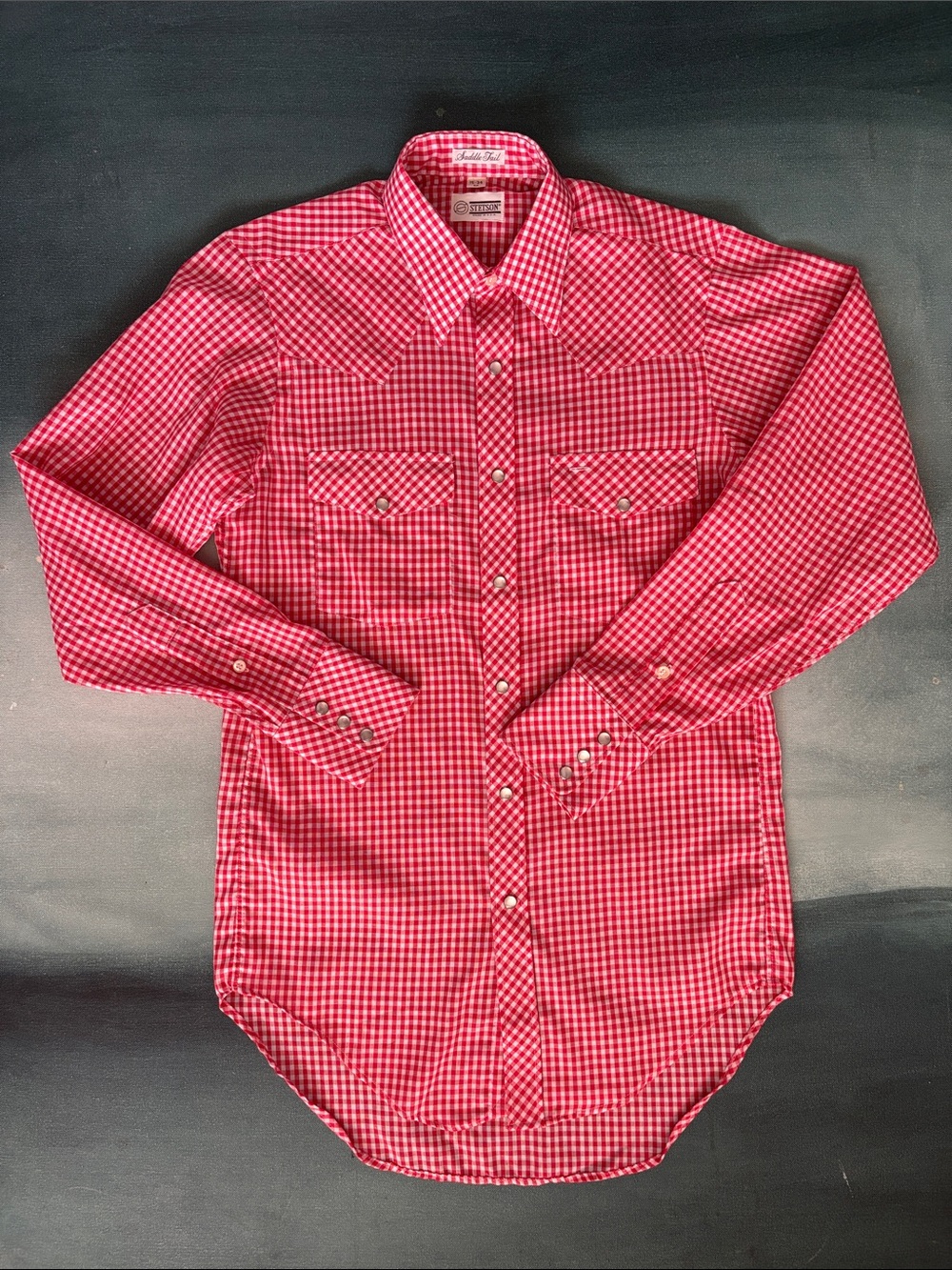 Vintage 70s Stetson Saddle Tail Western Snap Shirt Gingham
